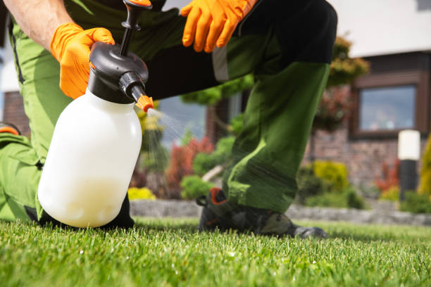 Best Emergency Pest Control  in Royalton, IL