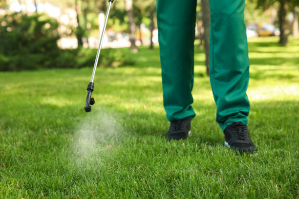 Best Bed Bug Extermination  in Royalton, IL
