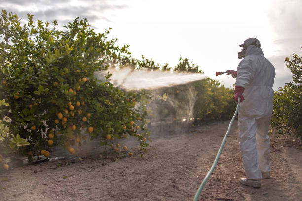 Best Wildlife Control Services  in Royalton, IL