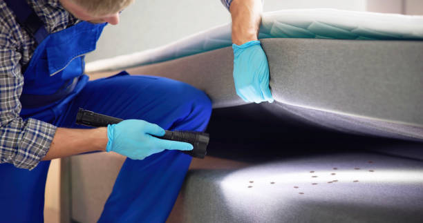Best Pest Control for Businesses  in Royalton, IL