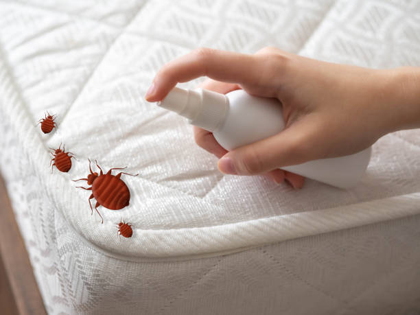 Best Best Pest Control Companies  in Royalton, IL