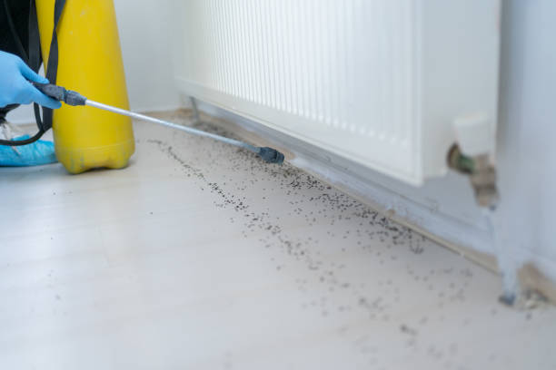 Best Pest Control Treatment  in Royalton, IL