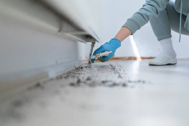 Best Cockroach Control Services  in Royalton, IL