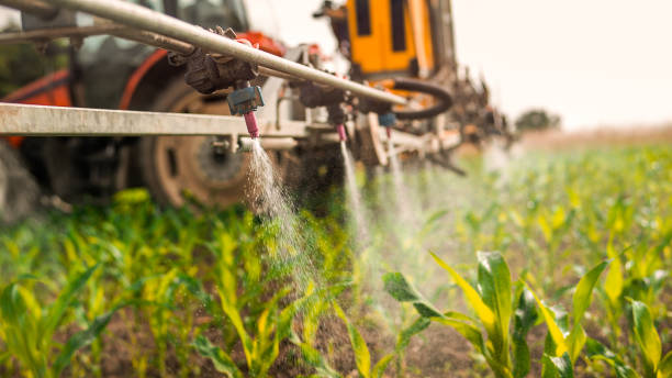 Best Commercial Pest Control Services  in Royalton, IL